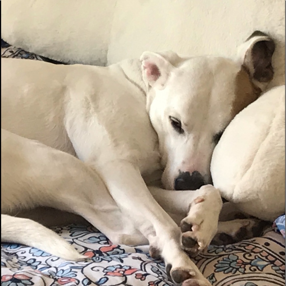 Meet your Posher, Maria